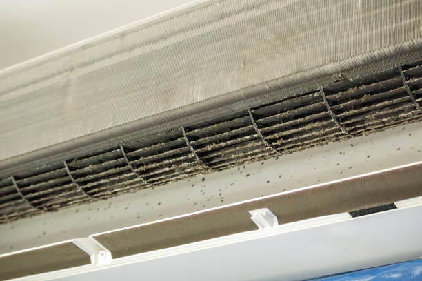 Best Air Duct Cleaning Near Me  in Scottsdale, AZ
